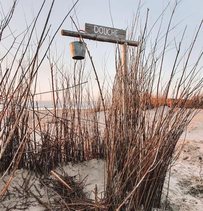Little Beach House Зандфорт Экстерьер фото